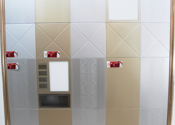 천장 도와 300mm x 300mm에 있는 현대 예술적인 클립, 돋을새김하는/광산화
