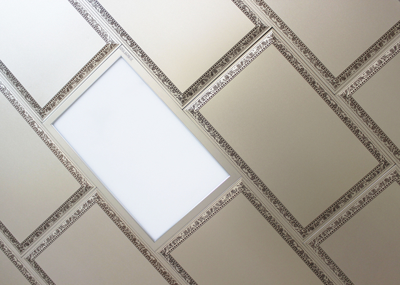 볼록한 표면 300 x 450 mm 지하실, SONCAP를 위한 예술적인 천장 도와